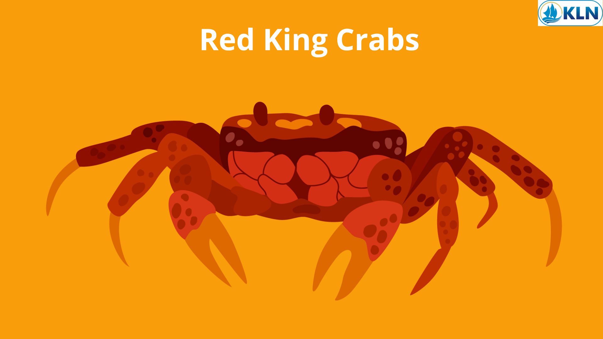 Red King Crabs